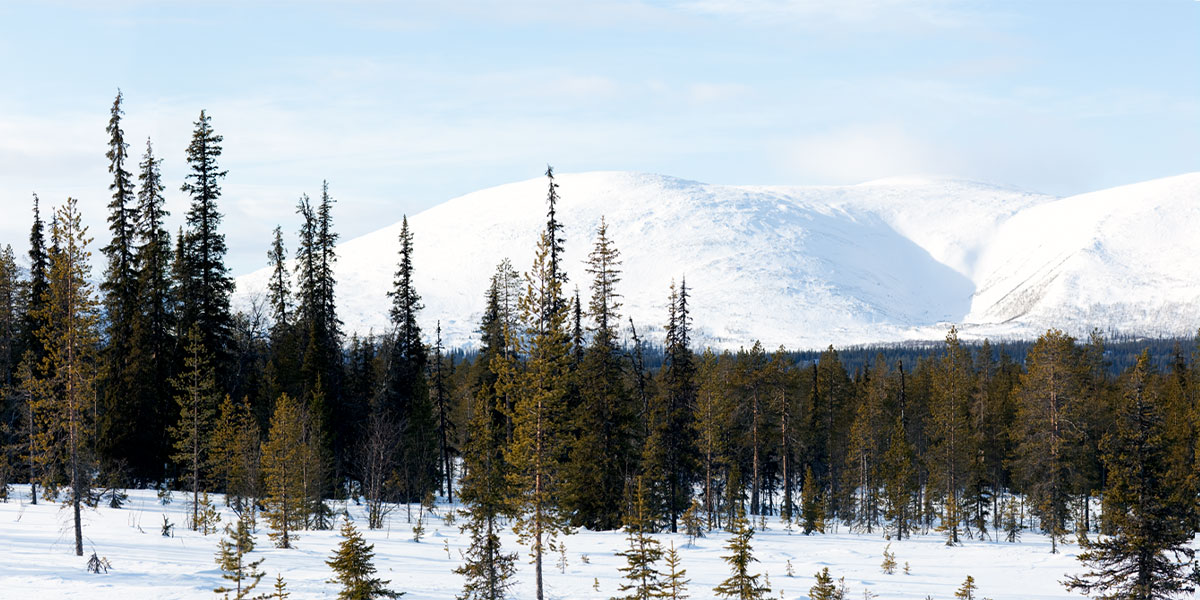 Lapponia finlandese